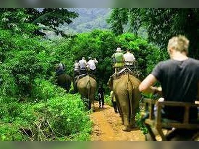 เดินป่าและขี่ช้าง - amazingthailand.org