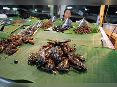 Eating Insects in Bangkok and Where to Find Them - amazingthailand.org